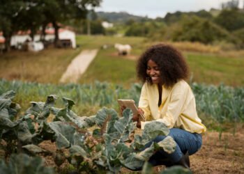 African Agribusiness Nurturing Growth and Sustainability