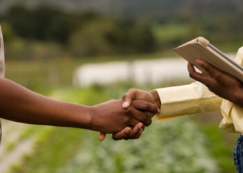 African Sustainable Agriculture