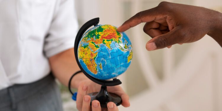 China-Africa Economic Bulletin 2024