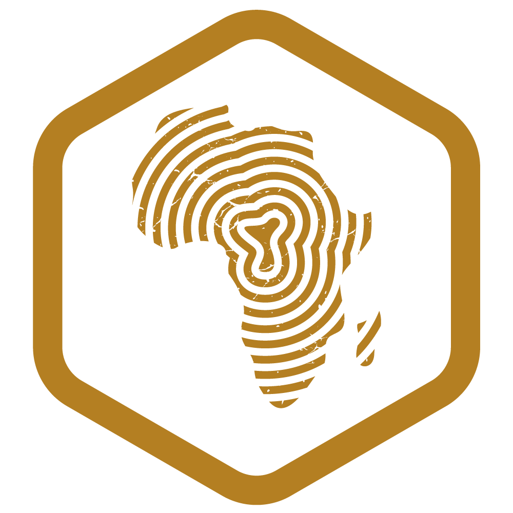 Africapreneurs