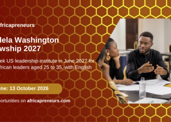 Mandela Washington Fellowship 2027 on Africapreneurs