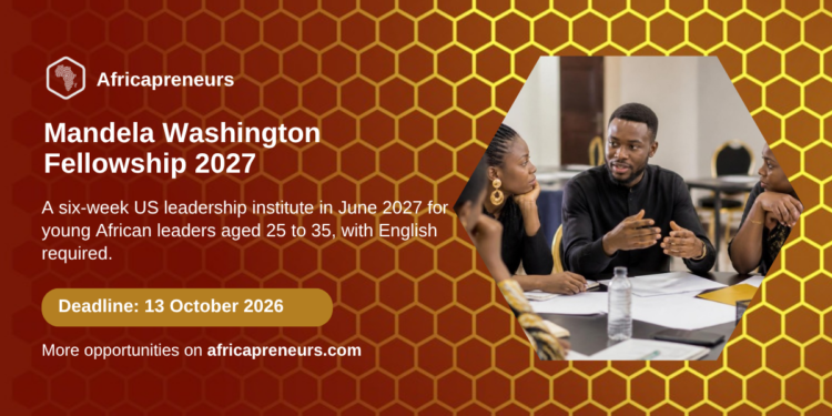 Mandela Washington Fellowship 2027 on Africapreneurs