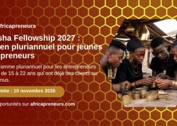 Anzisha Fellowship 2027, soutien pluriannuel pour jeunes entrepreneurs, Africapreneurs