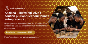 Anzisha Fellowship 2027, soutien pluriannuel pour jeunes entrepreneurs, Africapreneurs