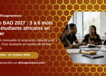 Carte du stage BAD 2027, Africapreneurs : étudiants africains en séminaire