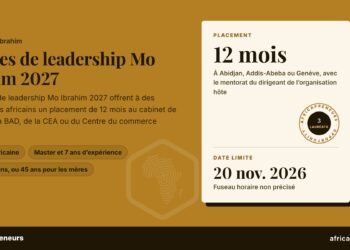 Bourses de leadership Mo Ibrahim 2027 : placement de 12 mois, date limite 20 nov. 2026